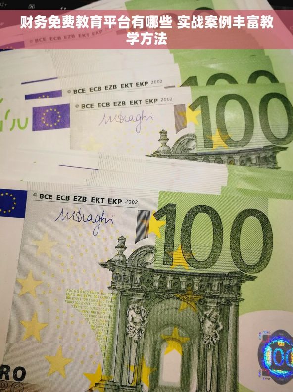财务免费教育平台有哪些 实战案例丰富教学方法