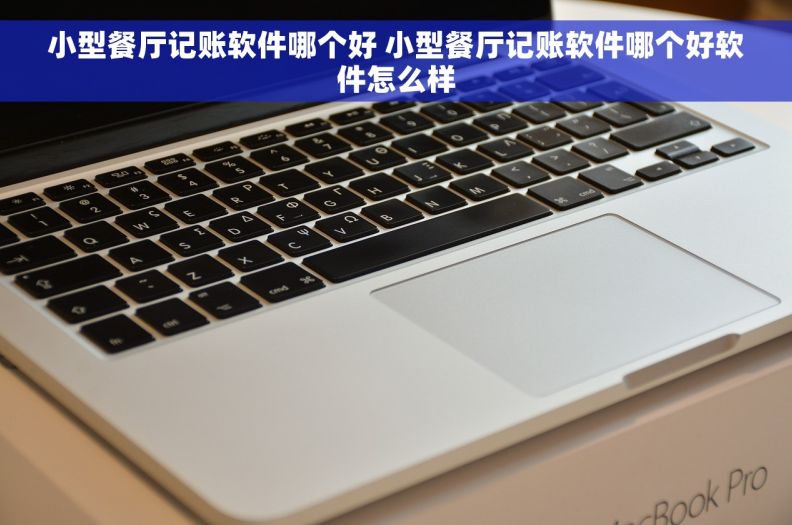 小型餐厅记账软件哪个好 小型餐厅记账软件哪个好软件怎么样