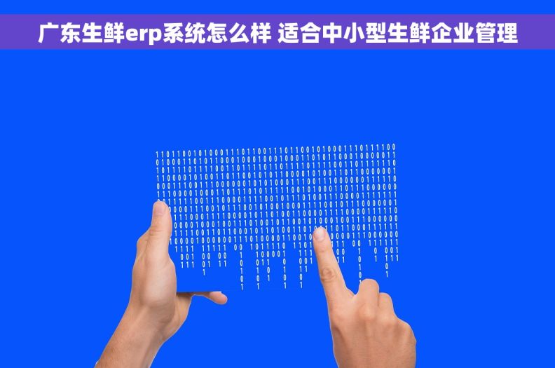 广东生鲜erp系统怎么样 适合中小型生鲜企业管理 广东生鲜erp系统怎么样 适合中小型生鲜企业管理
