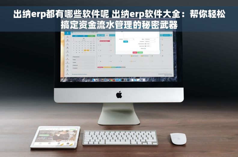 出纳erp都有哪些软件呢 出纳erp软件大全：帮你轻松搞定资金流水管理的秘密武器