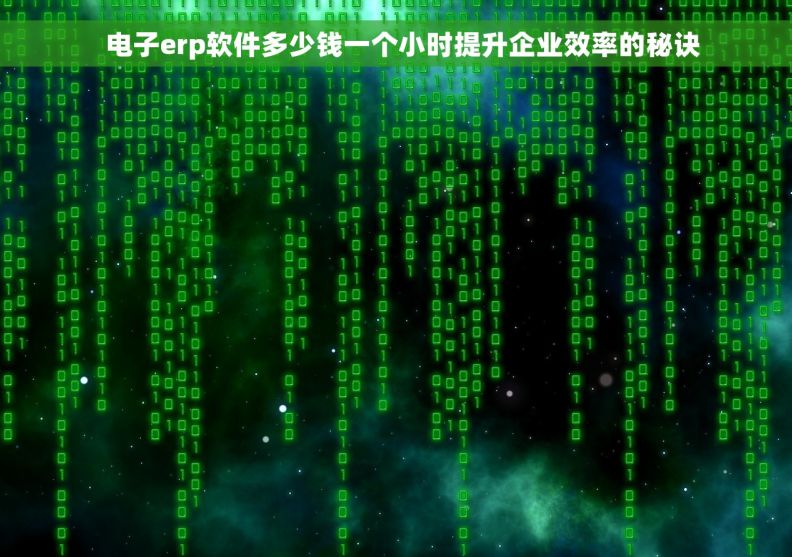   电子erp软件多少钱一个小时提升企业效率的秘诀