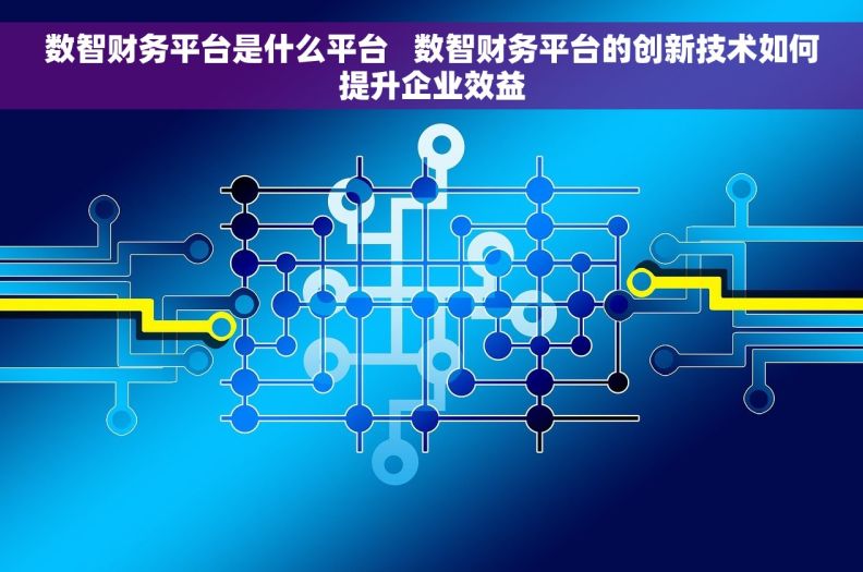 数智财务平台是什么平台   数智财务平台的创新技术如何提升企业效益