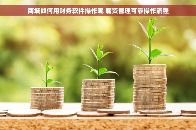 商城如何用财务软件操作呢 薪资管理可靠操作流程