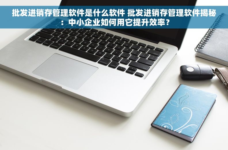 批发进销存管理软件是什么软件 批发进销存管理软件揭秘：中小企业如何用它提升效率？