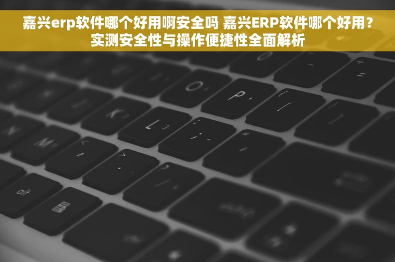 嘉兴erp软件哪个好用啊安全吗 嘉兴ERP软件哪个好用？实测安全性与操作便捷性全面解析