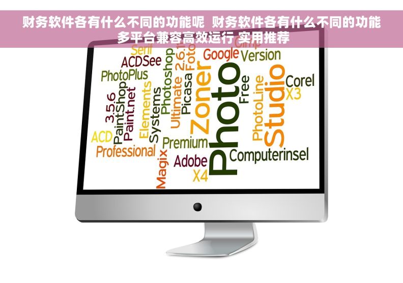 财务软件各有什么不同的功能呢  财务软件各有什么不同的功能 多平台兼容高效运行 实用推荐