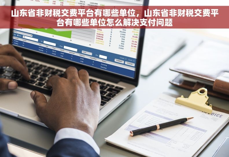 山东省非财税交费平台有哪些单位，山东省非财税交费平台有哪些单位怎么解决支付问题