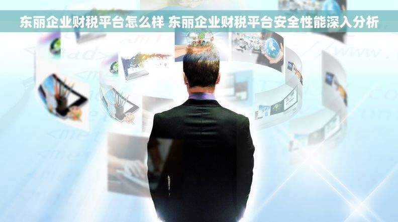 东丽企业财税平台怎么样 东丽企业财税平台安全性能深入分析