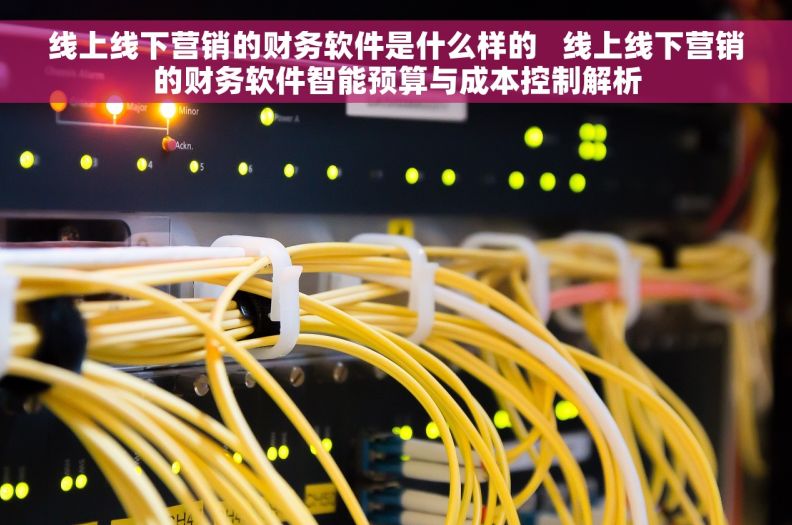 线上线下营销的财务软件是什么样的 线上线下营销的财务软件智能预算与成本控制解析 线上线下营销的财务软件是什么样的 线上线下营销的财务软件智能预算与成本控制解析