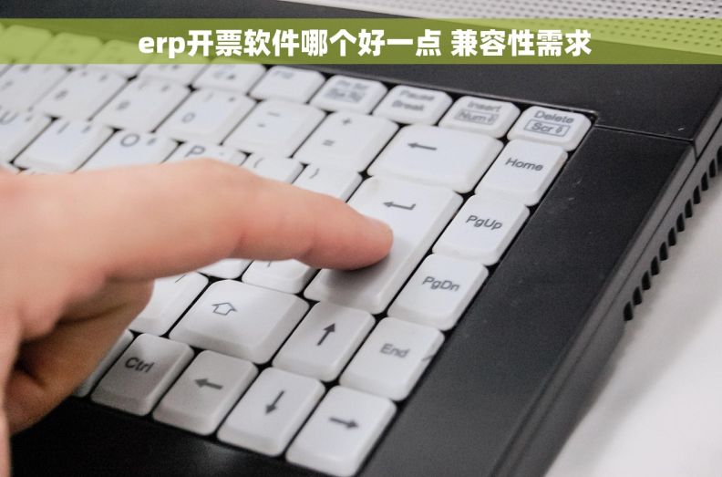  erp开票软件哪个好一点 兼容性需求