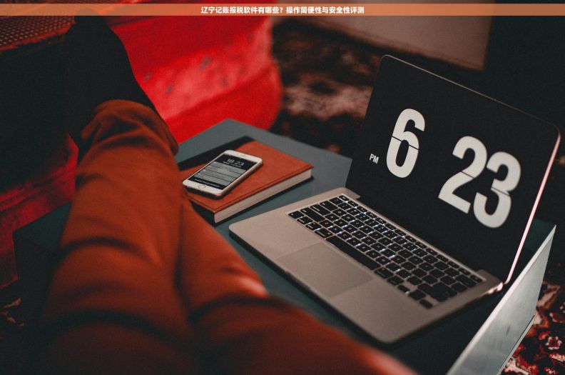 辽宁记账报税软件有哪些?操作简便性与安全性评测 辽宁记账报税软件有哪些?操作简便性与安全性评测