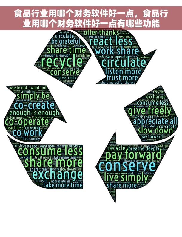 食品行业用哪个财务软件好一点，食品行业用哪个财务软件好一点有哪些功能
