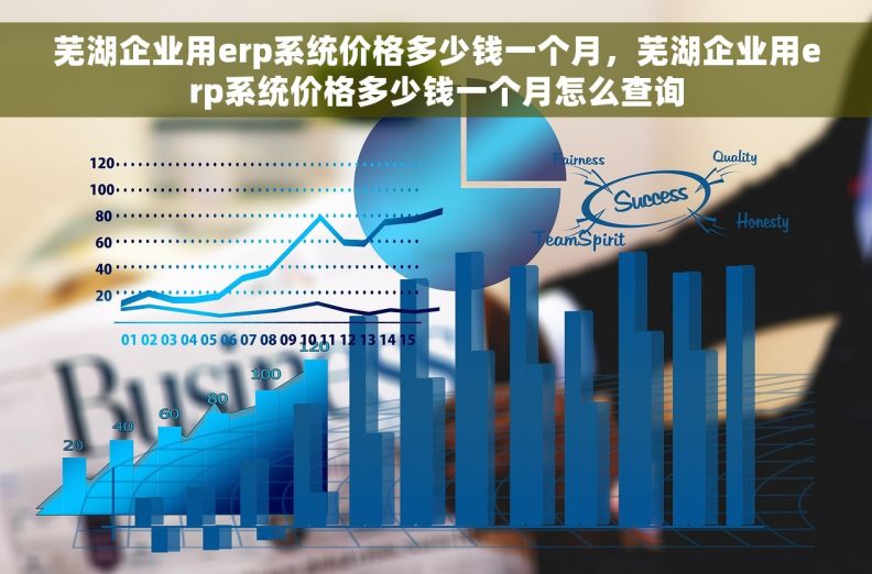 芜湖企业用erp系统价格多少钱一个月，芜湖企业用erp系统价格多少钱一个月怎么查询
