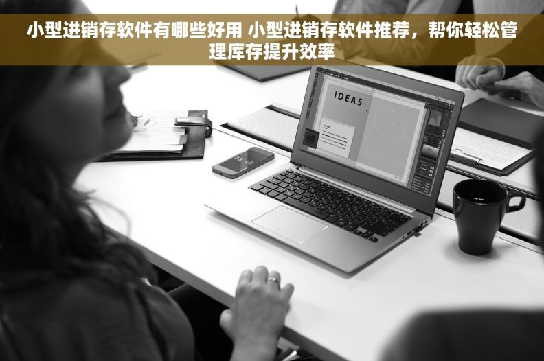 小型进销存软件有哪些好用 小型进销存软件推荐，帮你轻松管理库存提升效率