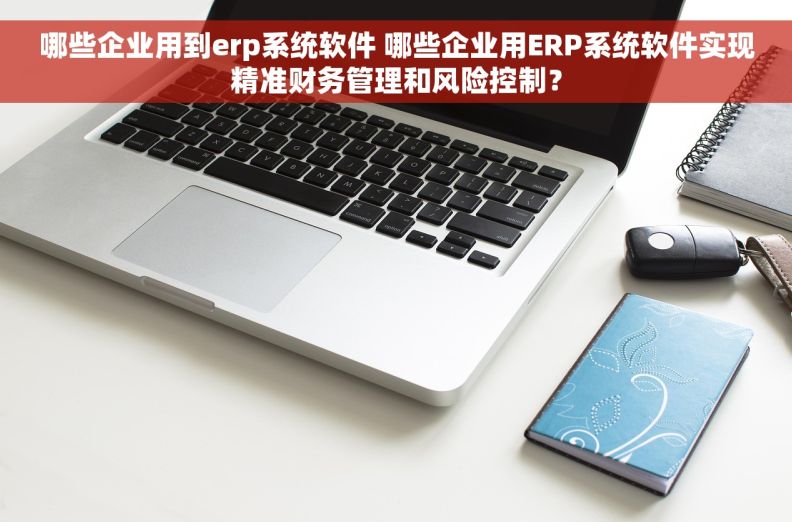 哪些企业用到erp系统软件 哪些企业用ERP系统软件实现精准财务管理和风险控制？