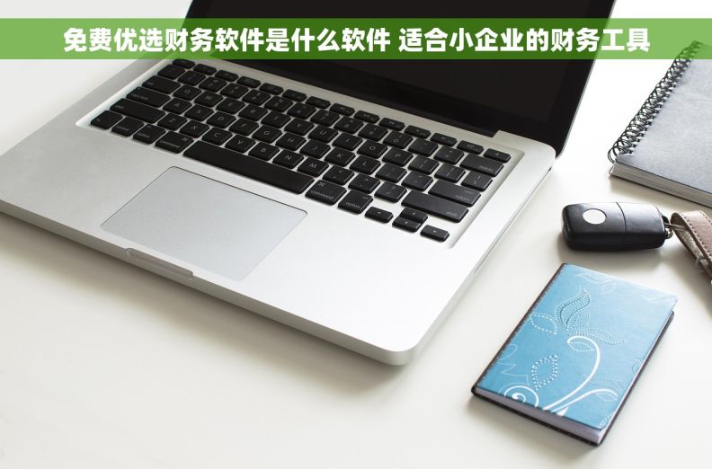 免费优选财务软件是什么软件 适合小企业的财务工具