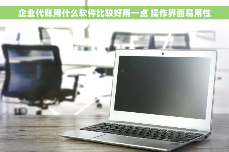 企业代账用什么软件比较好用一点 操作界面易用性