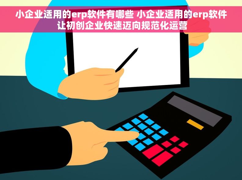 小企业适用的erp软件有哪些 小企业适用的erp软件 让初创企业快速迈向规范化运营