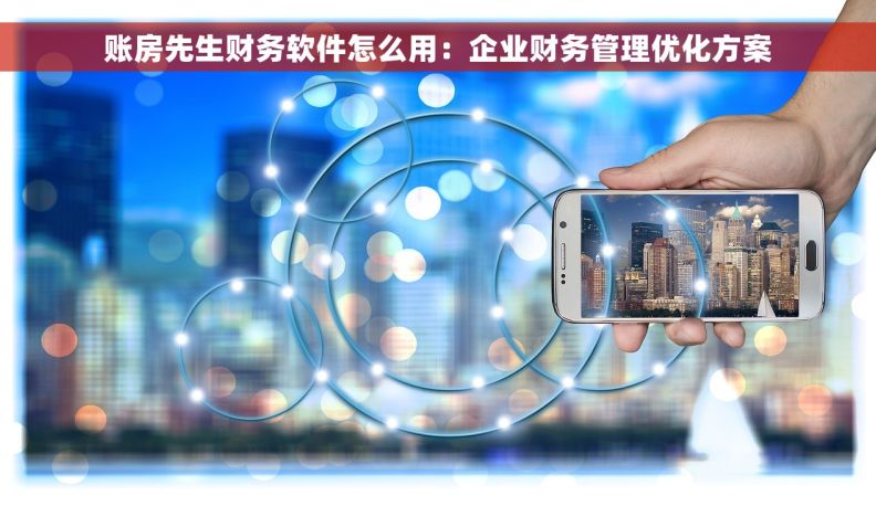 账房先生财务软件怎么用：企业财务管理优化方案
