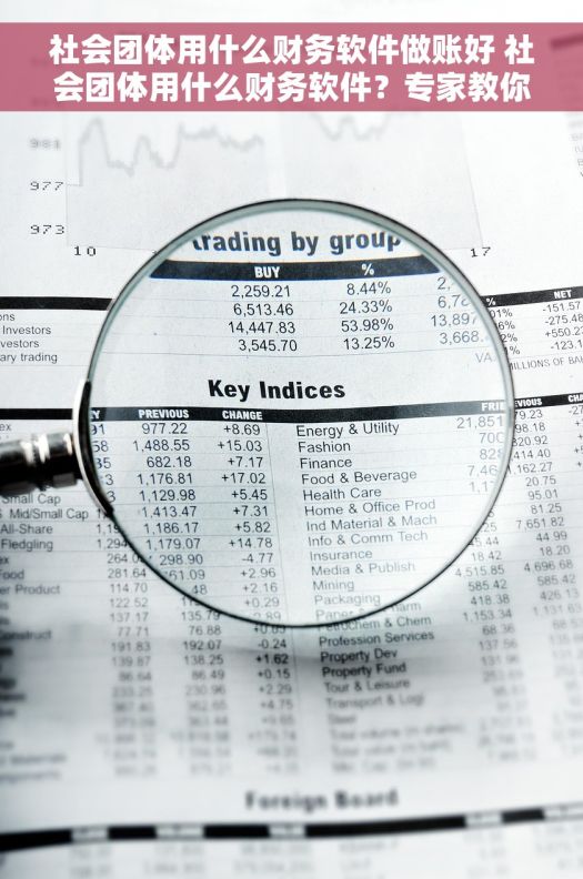 社会团体用什么财务软件做账好 社会团体用什么财务软件?专家教你挑选稳定好用的工具 社会团体用什么财务软件做账好 社会团体用什么财务软件?专家教你挑选稳定好用的工具