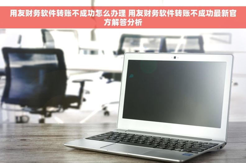 用友财务软件转账不成功怎么办理 用友财务软件转账不成功最新官方解答分析
