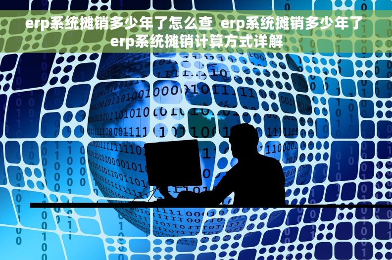 erp系统摊销多少年了怎么查  erp系统摊销多少年了 erp系统摊销计算方式详解