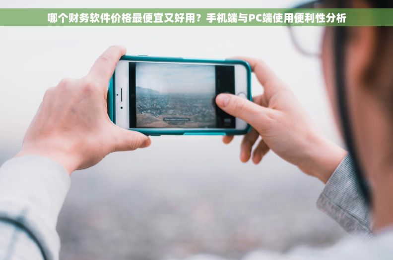 哪个财务软件价格最便宜又好用？手机端与PC端使用便利性分析