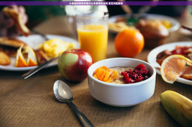 小食品财务软件是什么东西啊安全吗 常见问题解答