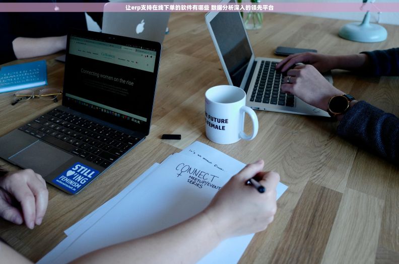 让erp支持在线下单的软件有哪些 数据分析深入的领先平台