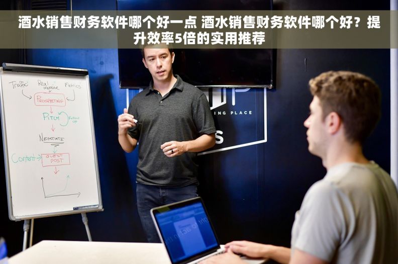 酒水销售财务软件哪个好一点 酒水销售财务软件哪个好？提升效率5倍的实用推荐