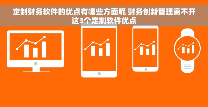 定制财务软件的优点有哪些方面呢 财务创新管理离不开这3个定制软件优点