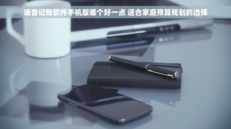 语音记账软件手机版哪个好一点 适合家庭预算规划的选择