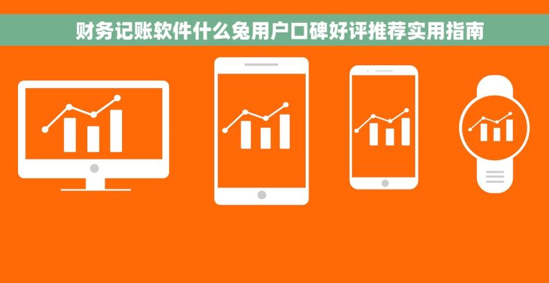   财务记账软件什么兔用户口碑好评推荐实用指南