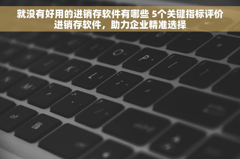就没有好用的进销存软件有哪些 5个关键指标评价进销存软件，助力企业精准选择