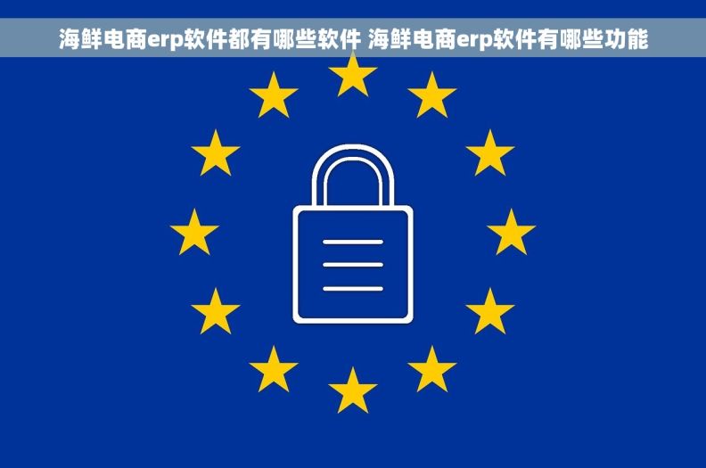海鲜电商erp软件都有哪些软件 海鲜电商erp软件有哪些功能