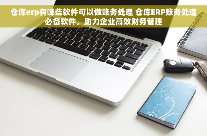仓库erp有哪些软件可以做账务处理 仓库ERP账务处理必备软件，助力企业高效财务管理