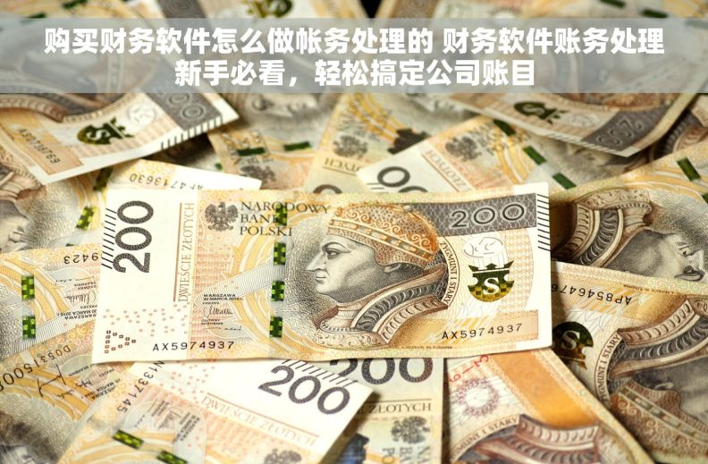 购买财务软件怎么做帐务处理的 财务软件账务处理新手必看,轻松搞定公司账目 购买财务软件怎么做帐务处理的 财务软件账务处理新手必看,轻松搞定公司账目