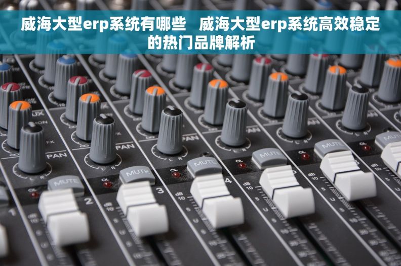 威海大型erp系统有哪些   威海大型erp系统高效稳定的热门品牌解析