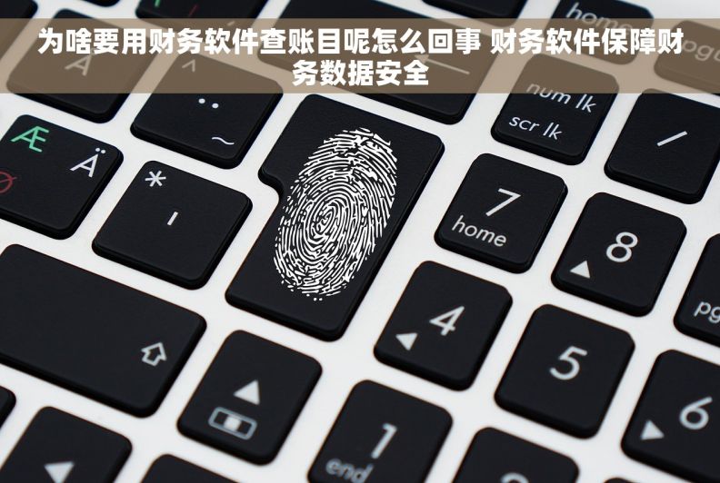 为啥要用财务软件查账目呢怎么回事 财务软件保障财务数据安全