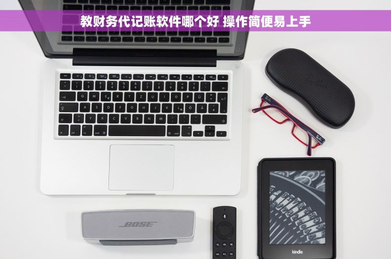 教财务代记账软件哪个好 操作简便易上手