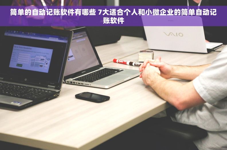 简单的自动记账软件有哪些 7大适合个人和小微企业的简单自动记账软件