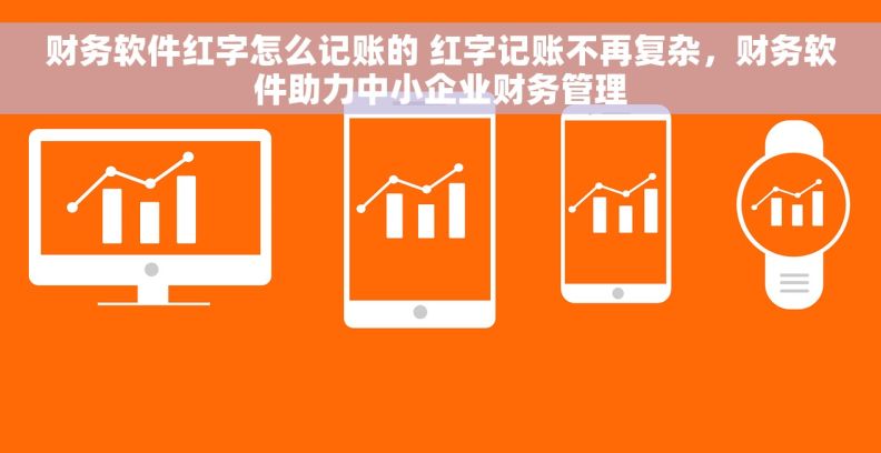 财务软件红字怎么记账的 红字记账不再复杂，财务软件助力中小企业财务管理