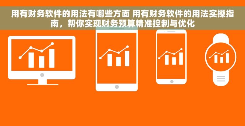 用有财务软件的用法有哪些方面 用有财务软件的用法实操指南,帮你实现财务预算精准控制与优化 用有财务软件的用法有哪些方面 用有财务软件的用法实操指南,帮你实现财务预算精准控制与优化