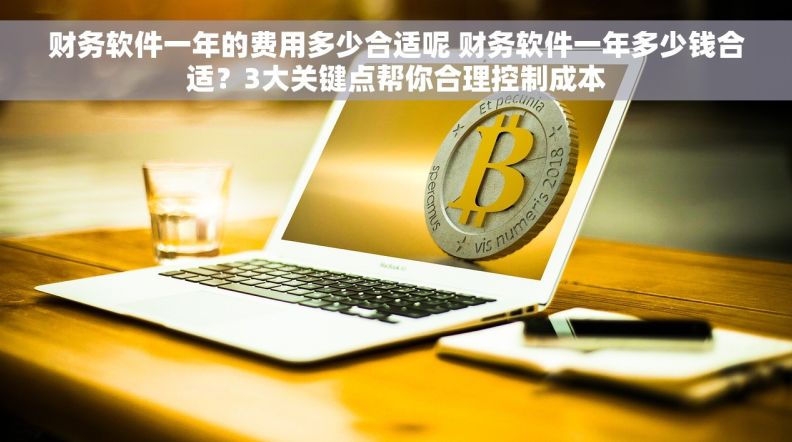 财务软件一年的费用多少合适呢 财务软件一年多少钱合适?3大关键点帮你合理控制成本 财务软件一年的费用多少合适呢 财务软件一年多少钱合适?3大关键点帮你合理控制成本