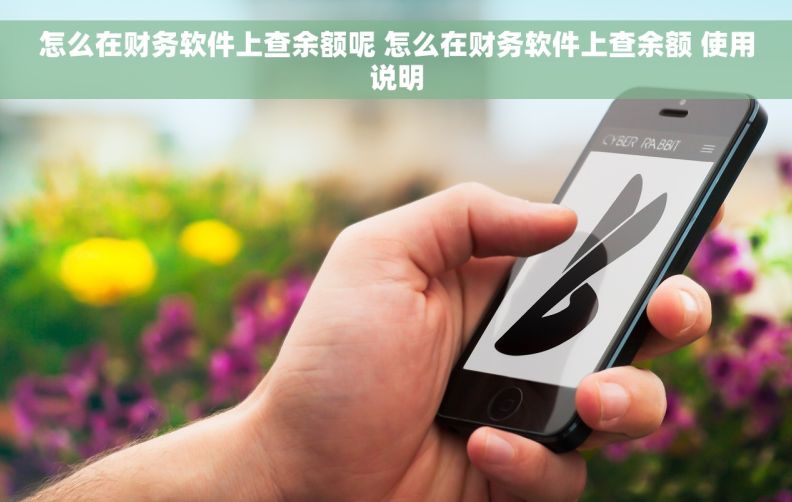 怎么在财务软件上查余额呢 怎么在财务软件上查余额 使用说明