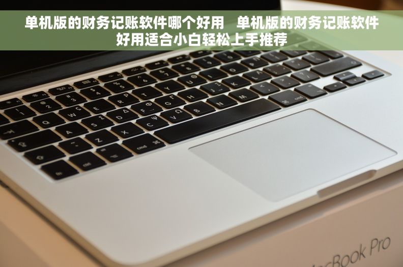 单机版的财务记账软件哪个好用 单机版的财务记账软件好用适合小白轻松上手推荐 单机版的财务记账软件哪个好用 单机版的财务记账软件好用适合小白轻松上手推荐