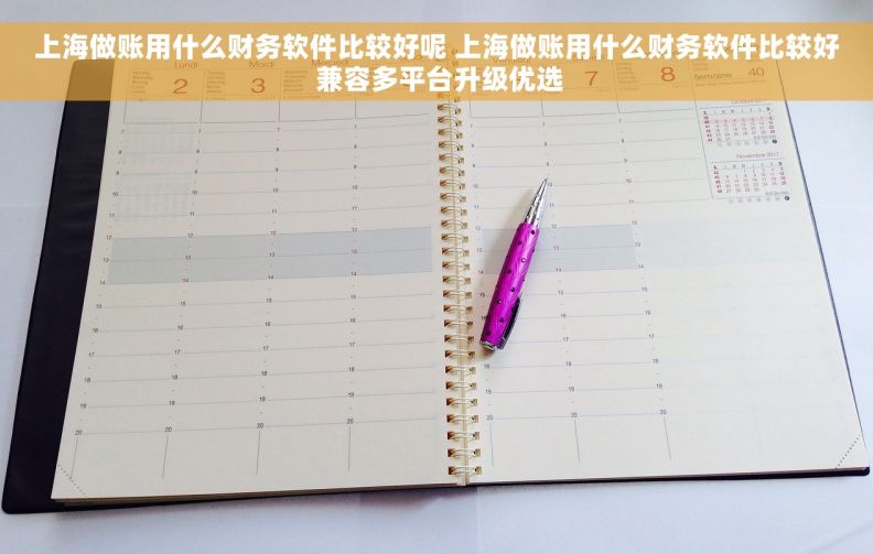 上海做账用什么财务软件比较好呢 上海做账用什么财务软件比较好 兼容多平台升级优选