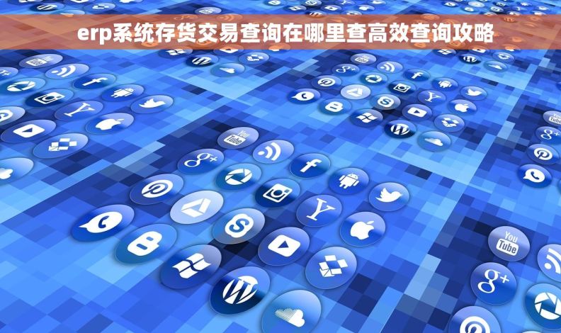   erp系统存货交易查询在哪里查高效查询攻略