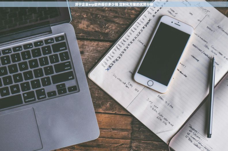 济宁企业erp软件报价多少钱 定制化方案的优势分析