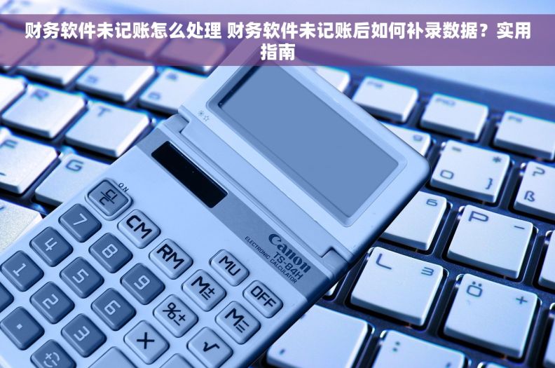 财务软件未记账怎么处理 财务软件未记账后如何补录数据？实用指南